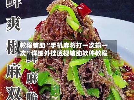 教程辅助“手机麻将打一次输一次”详细外挂透视辅助软件教程
