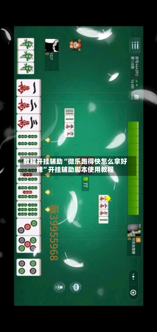 教程开挂辅助“微乐跑得快怎么拿好牌”开挂辅助脚本使用教程