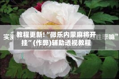教程更新!“微乐内蒙麻将开挂”(作弊)辅助透视教程