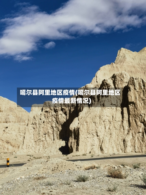 噶尔县阿里地区疫情(噶尔县阿里地区疫情最新情况)