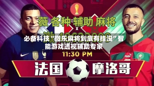 必备科技“微乐麻将到底有挂没”智能游戏透视辅助专家