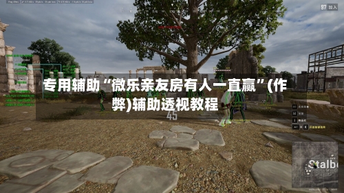 专用辅助“微乐亲友房有人一直赢”(作弊)辅助透视教程