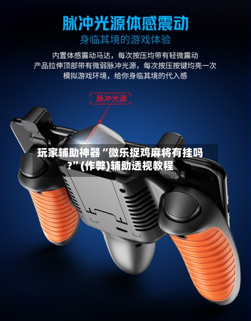 玩家辅助神器“微乐捉鸡麻将有挂吗?”(作弊)辅助透视教程