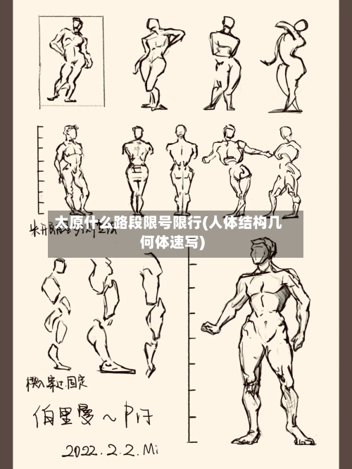 太原什么路段限号限行(人体结构几何体速写)