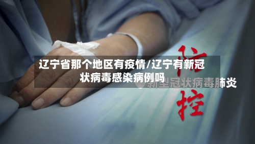 辽宁省那个地区有疫情/辽宁有新冠状病毒感染病例吗