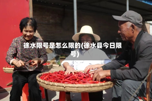 徐水限号是怎么限的(徐水县今日限号)