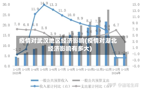 疫情对武汉地区经济影响(疫情对湖北经济影响有多大)